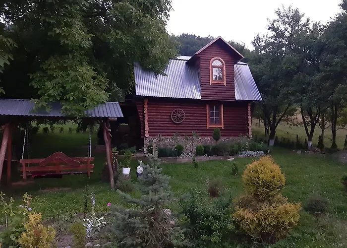 Дерев\'яний будинок з банею