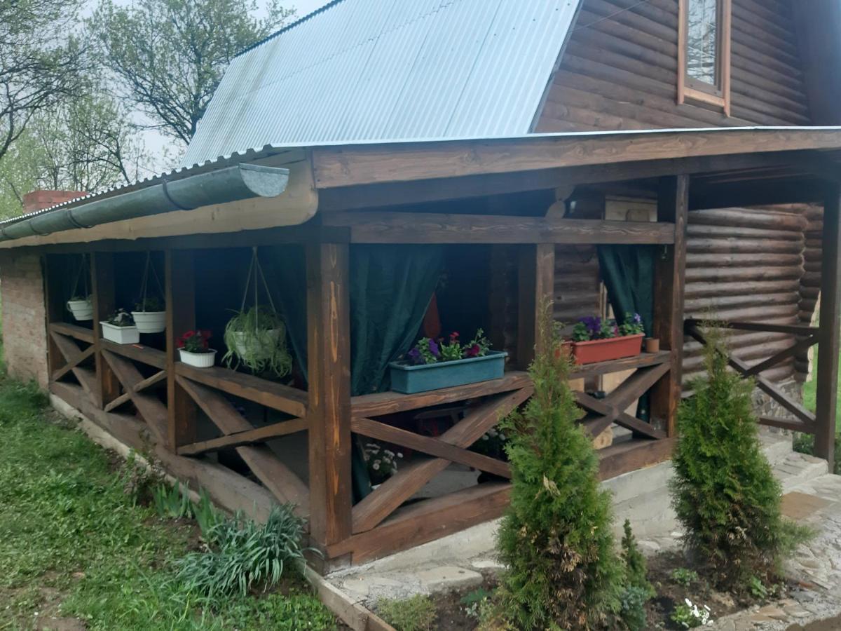 дерев'яний будинок з банею Apartment *