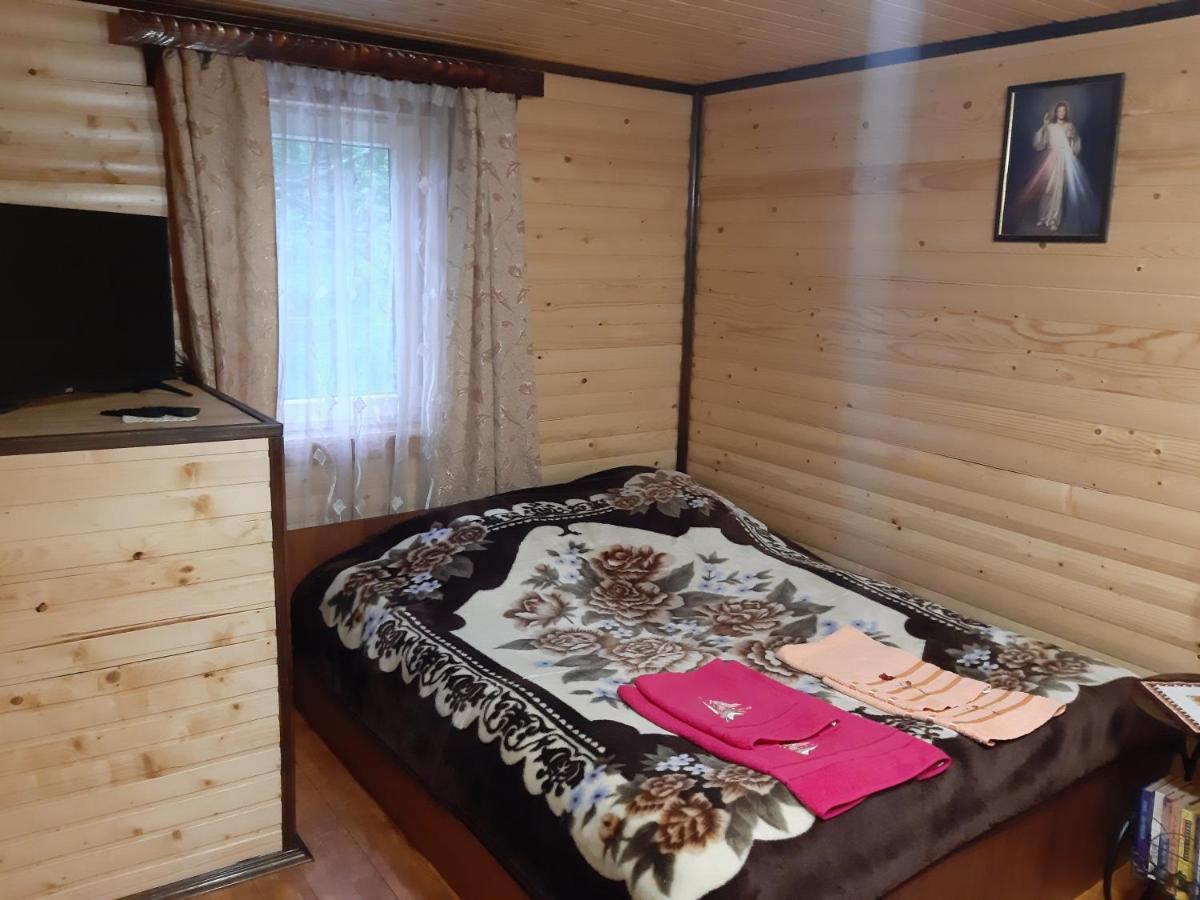 дерев'яний будинок з банею *